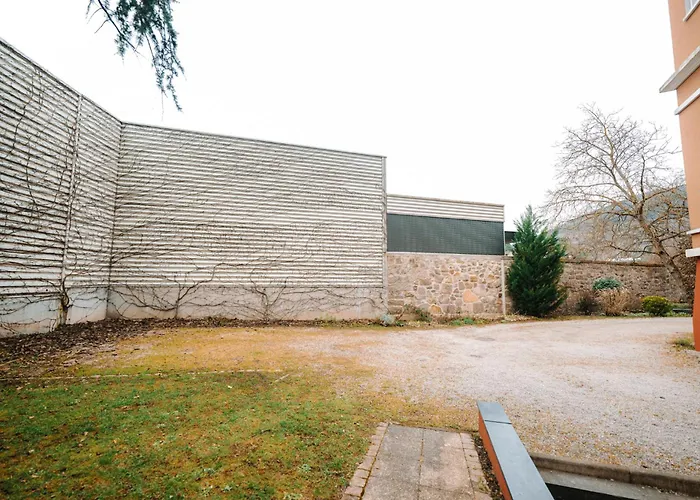 Grand Appartement Rez De Jardin